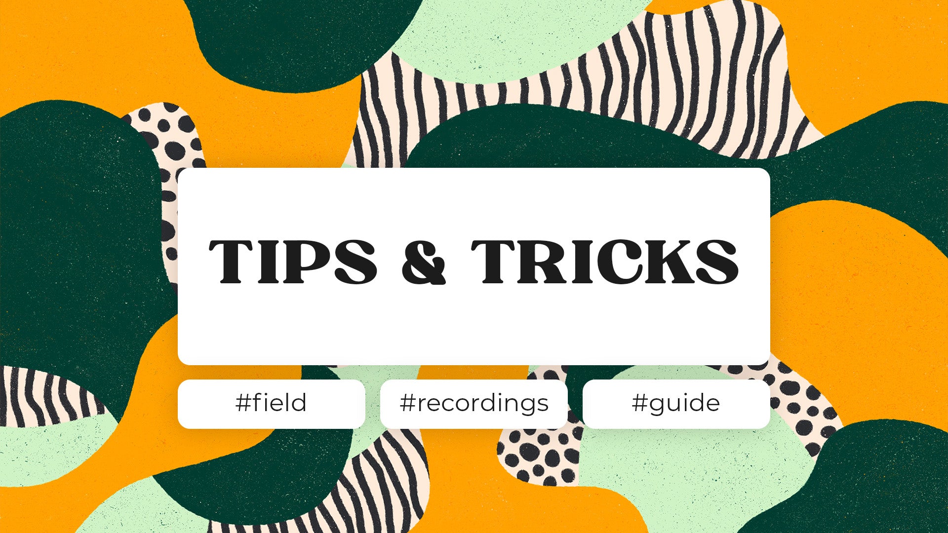 Why use Field Recordings in House Music? | 5-step Guide – LÄMMERFYR